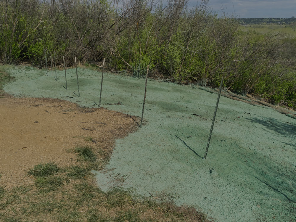 Hydroseeding