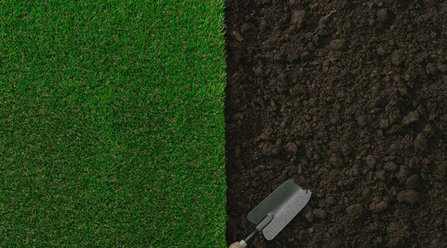 Belmont Garden Design