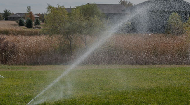 Belmont Landscape Design